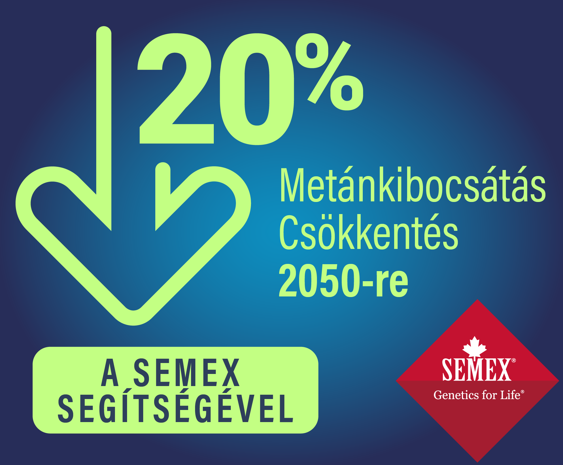 Csökkentse a metánkibocsátást a Semex segítségével!